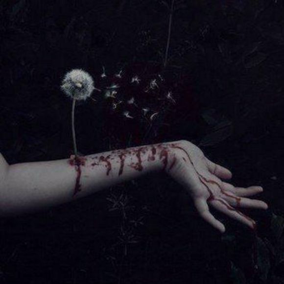 Meet the Posher Other - Meet your Posher, Terri